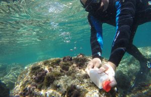 plongeur en tenue qui récupère une bouteille plastique sous l'eau