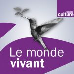 Hirondelle avec une branche coupée dans le bec sur fond violet et gris