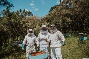 apiculteurs devant une ruche en combinaison