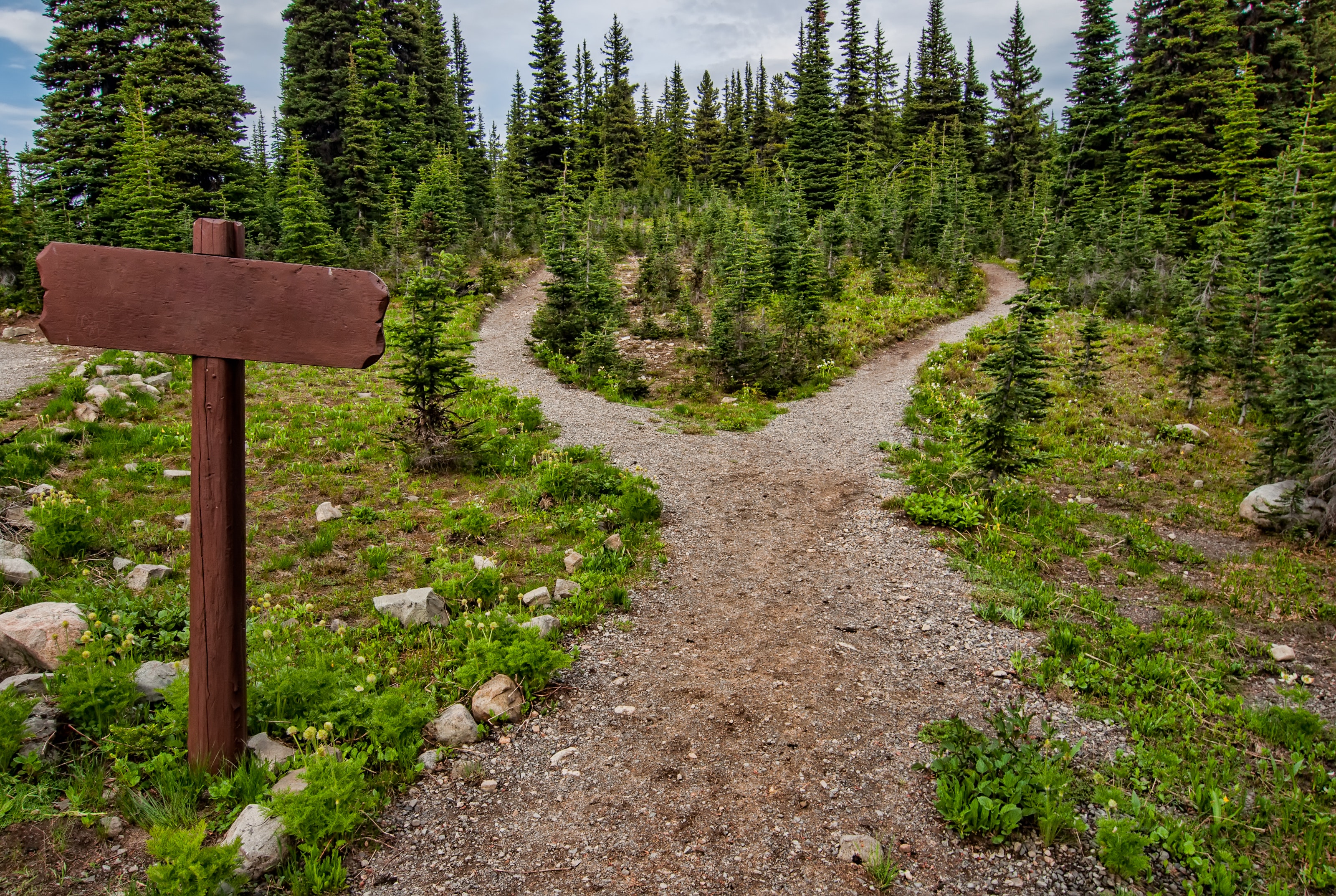 sentier forêt